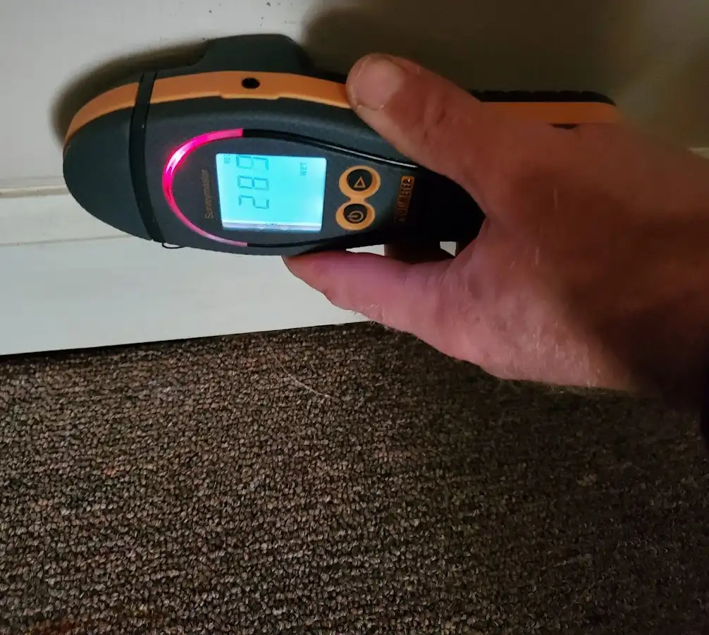 Moisture detection at baseboard during Burst Pipe Cleanup in Brownsville